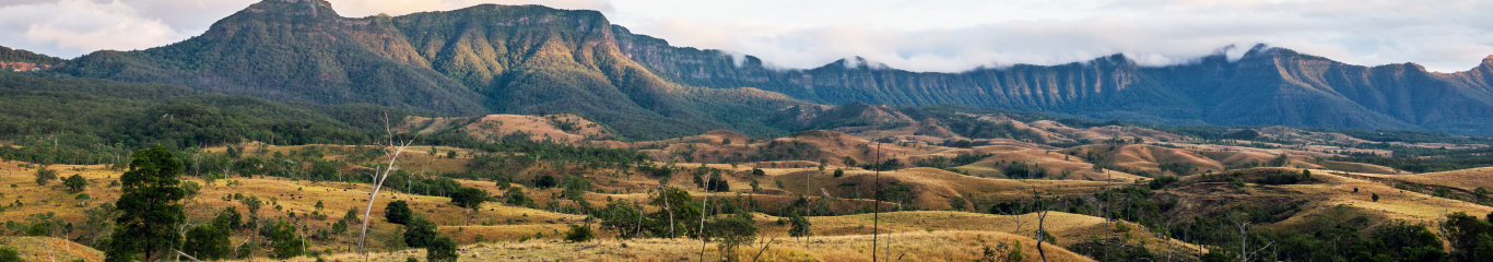 Cunningham's Gap landscape