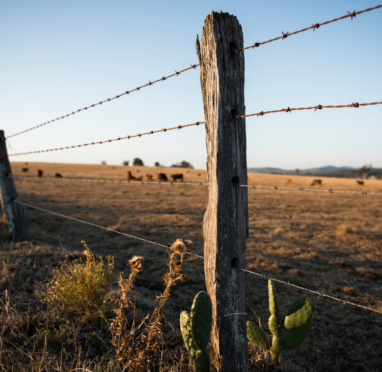 Fence